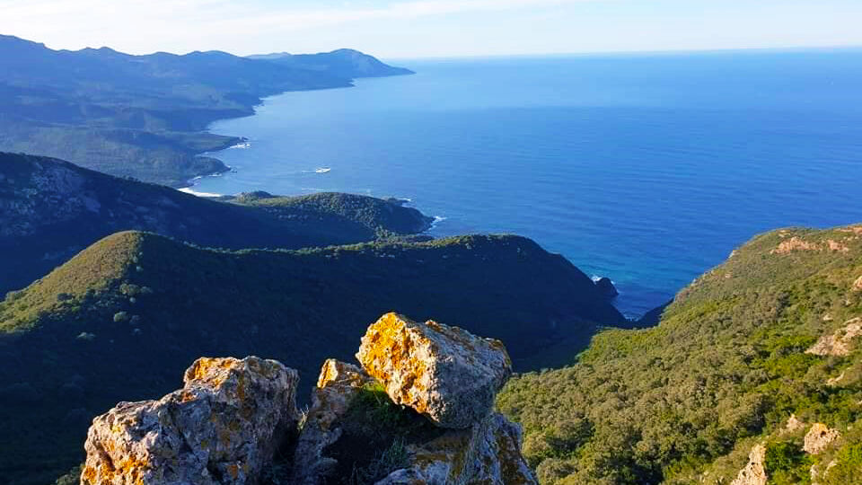 Région des monts Seraïdi annaba