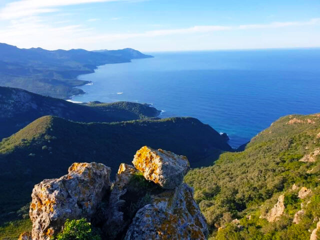 Région des monts Seraïdi annaba